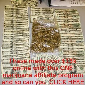 Best Marijuana Affiliate Program